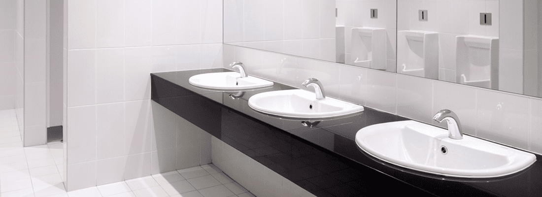 SMART TOILET GIVES NUTRITIONAL ADVICE TO DUTCH FESTIVAL VISITORS