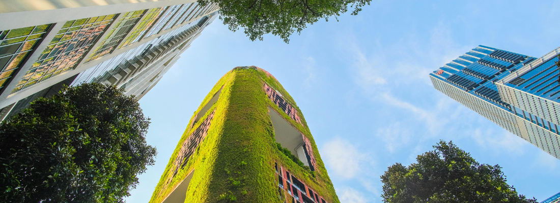 NEWS HEADER 1100x400 sustainability