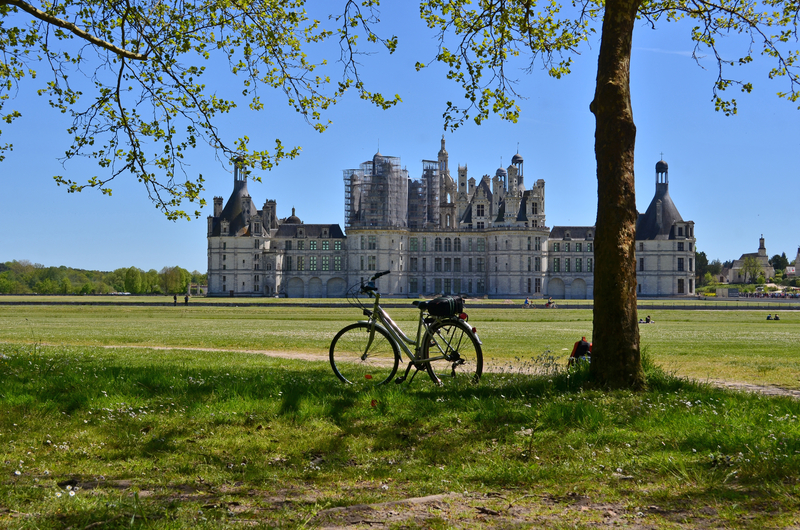 Bicycle parked under a tree with Château de Chambord in the background