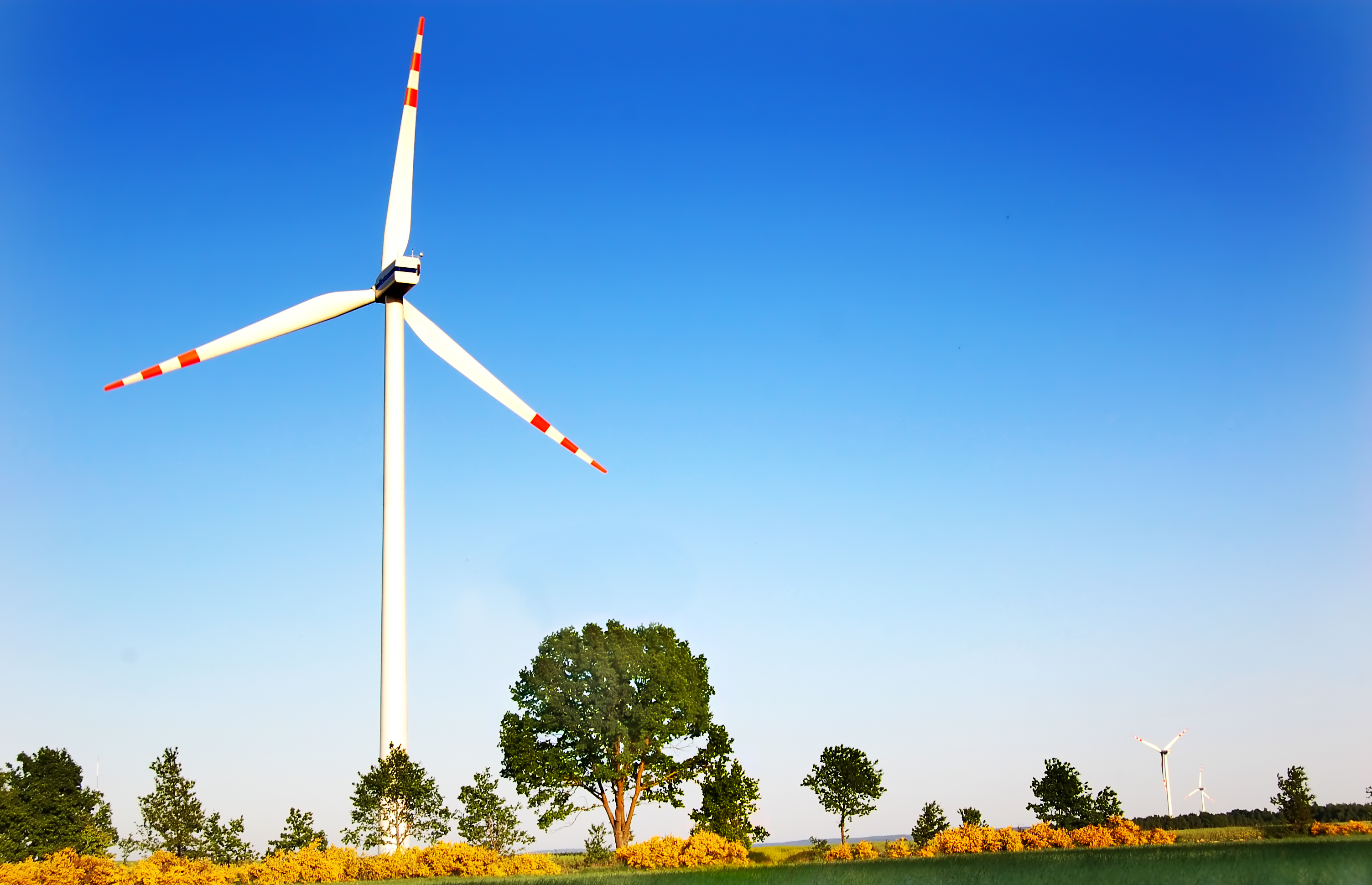 Electric windmill