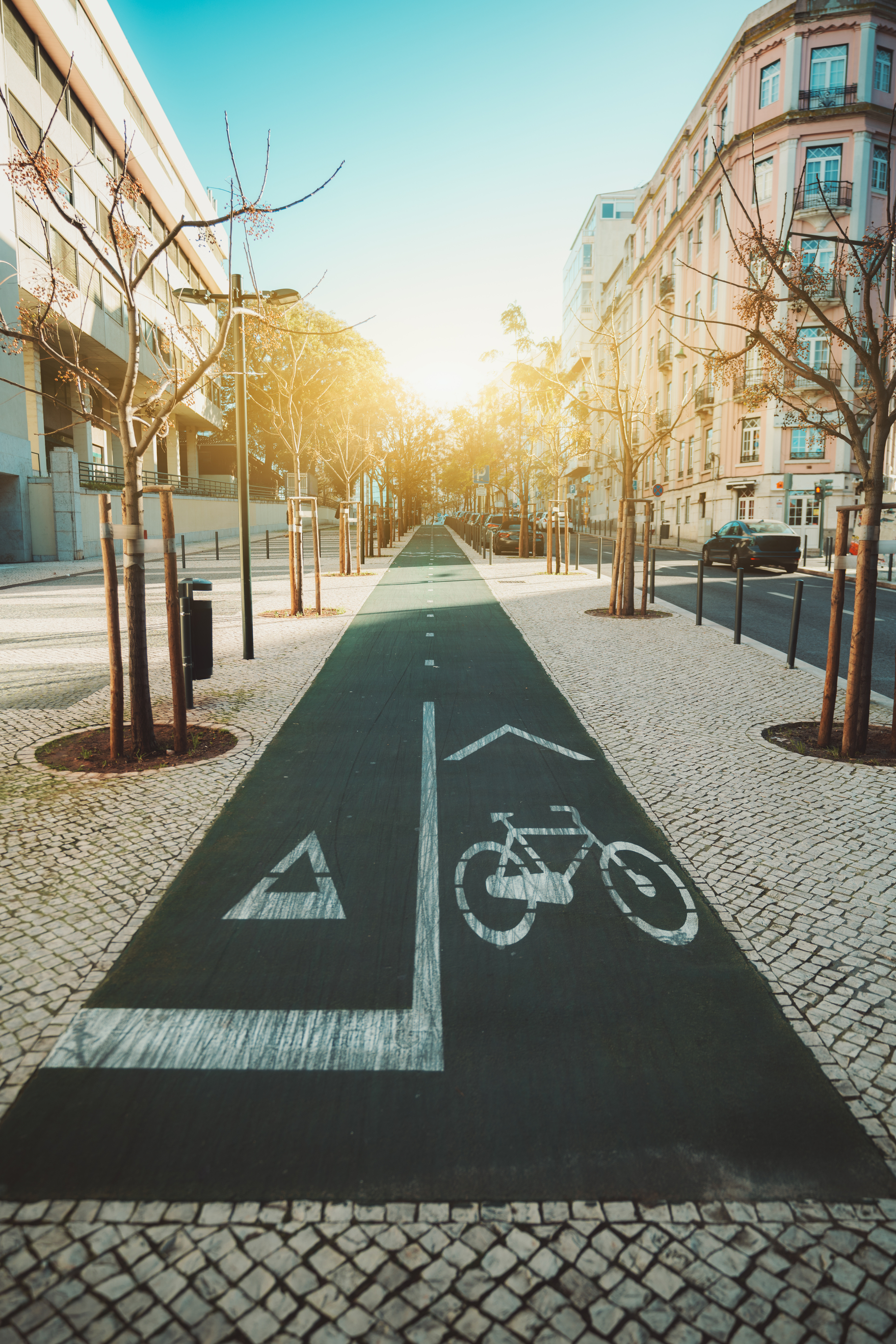 Sunny city avenue with a wide marked bike lane between trees and buildings, an example of micromobility-friendly street design