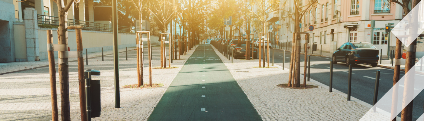 Sunny city avenue with a wide marked bike lane between trees and buildings