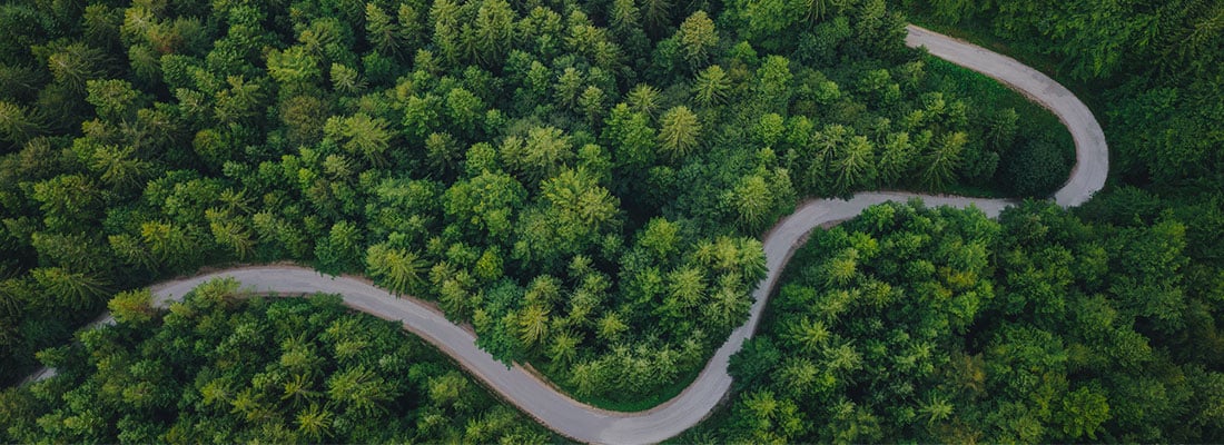 How COVID-19 can or cannot contribute to our global environment