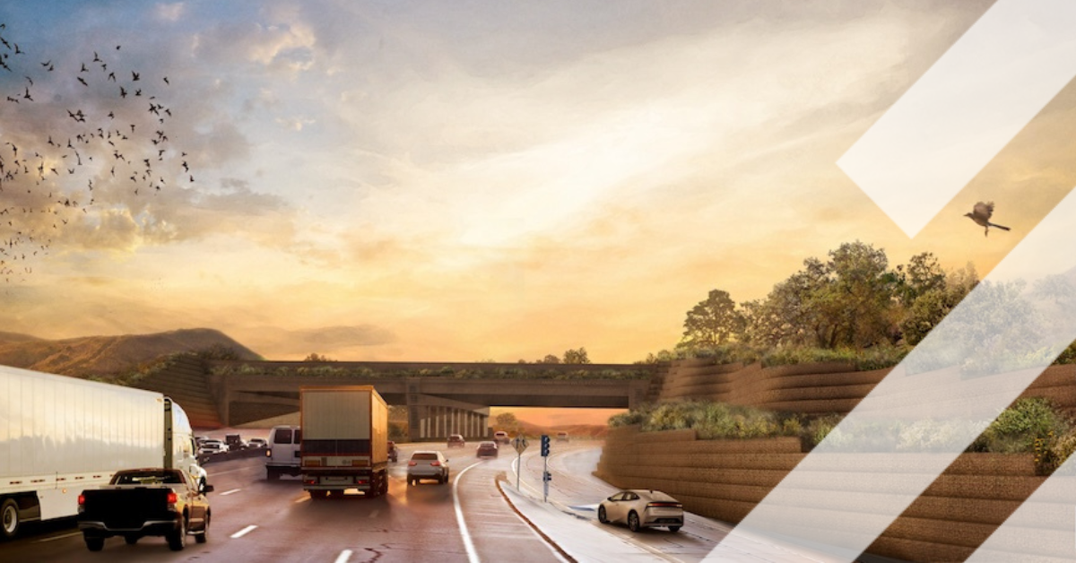 Using AI, barriers and bridges to help stop wildlife-vehicle collisions