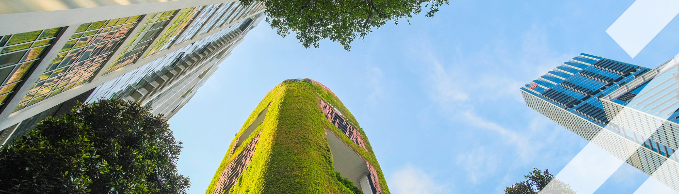 Rethinking the Road to Sustainability