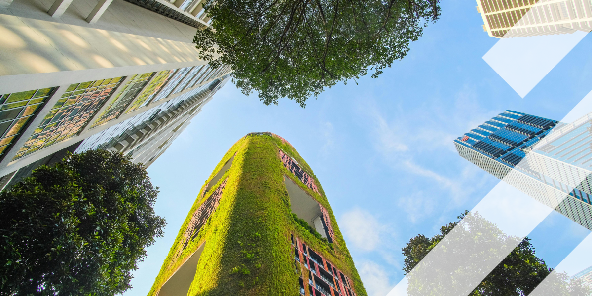 Rethinking the Road to Sustainability