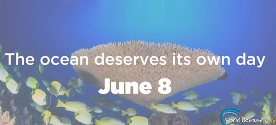world-oceans-day-our-oceans-our-future