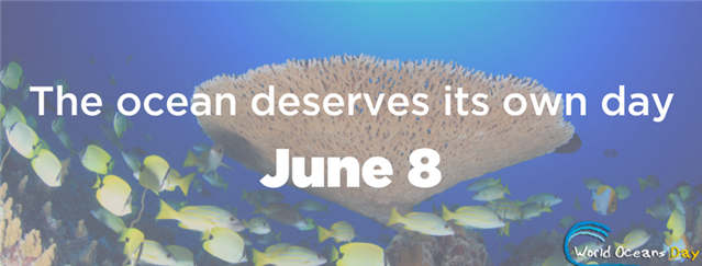 world-oceans-day-our-oceans-our-future