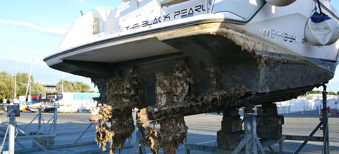 Antifoulings and the environment… a complex future!