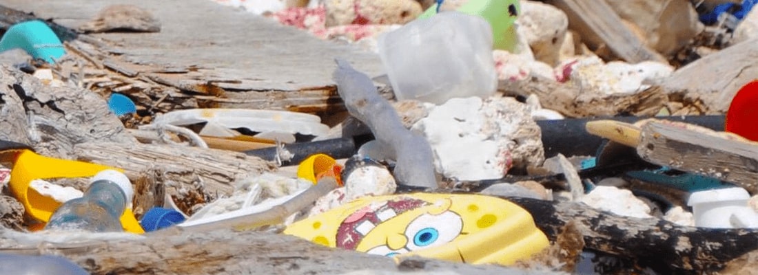 World's first Plastic Health Summit held in Amsterdam