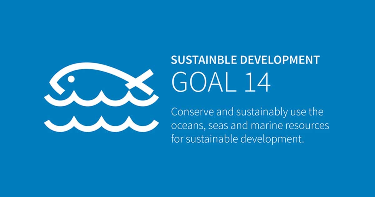 Sustainability plans and actions across the marine industry | Metstrade
