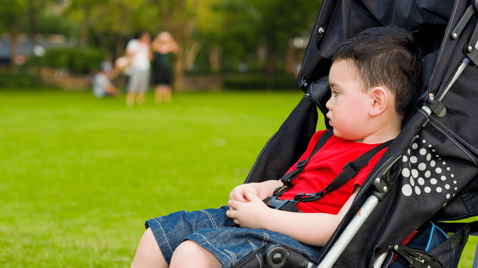review-little-dutch-buggy