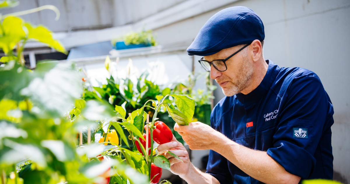 culinary chef paul conijn