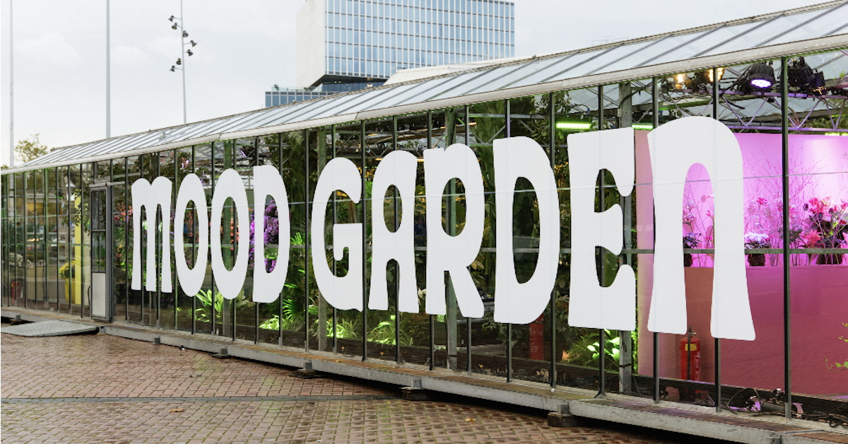 De Mood Garden kas op het voorplein