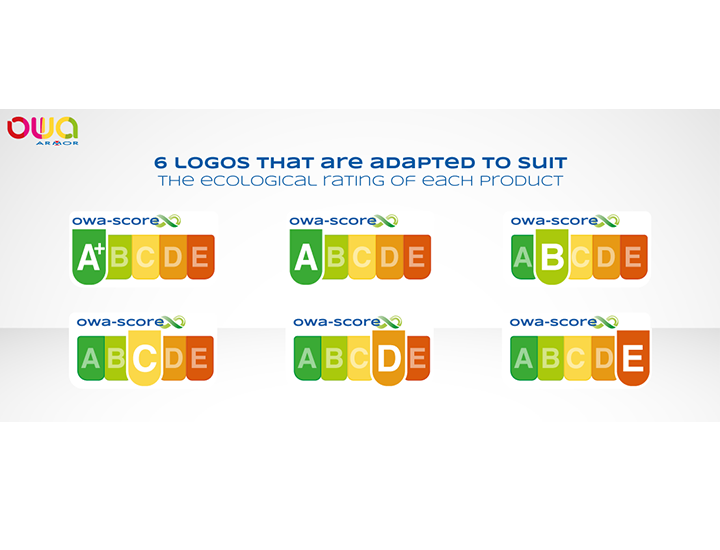 The OWA score and its 5 levels