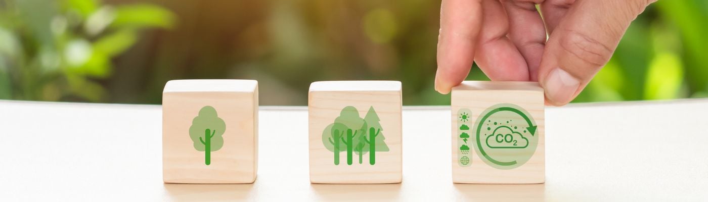 circular economy