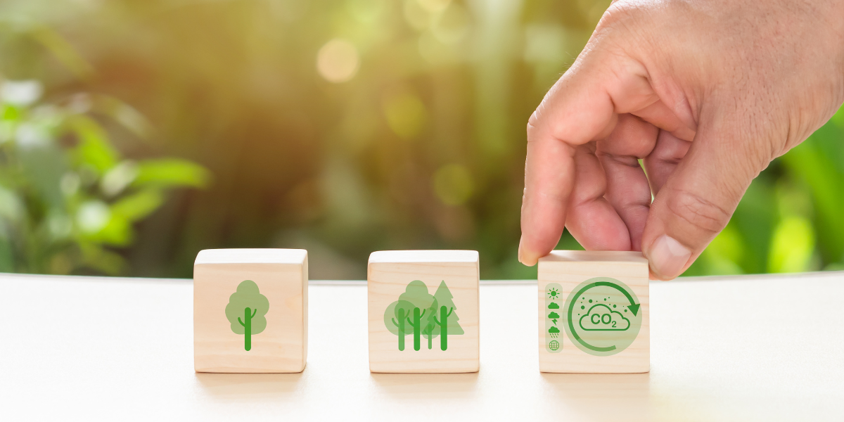 Circular economy in the Automotive industry – part one
