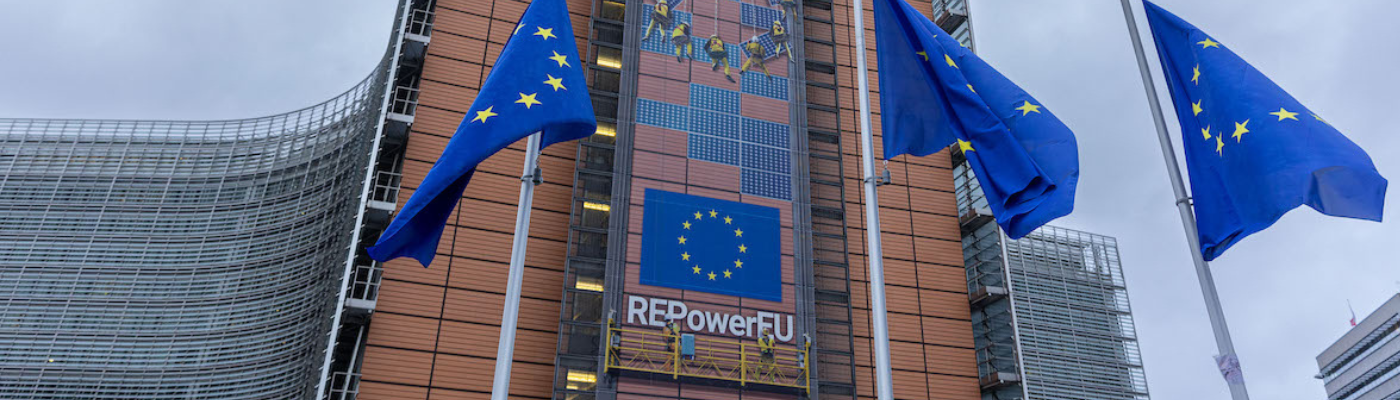 European Commission, the Action Plan for the automotive industry (1)