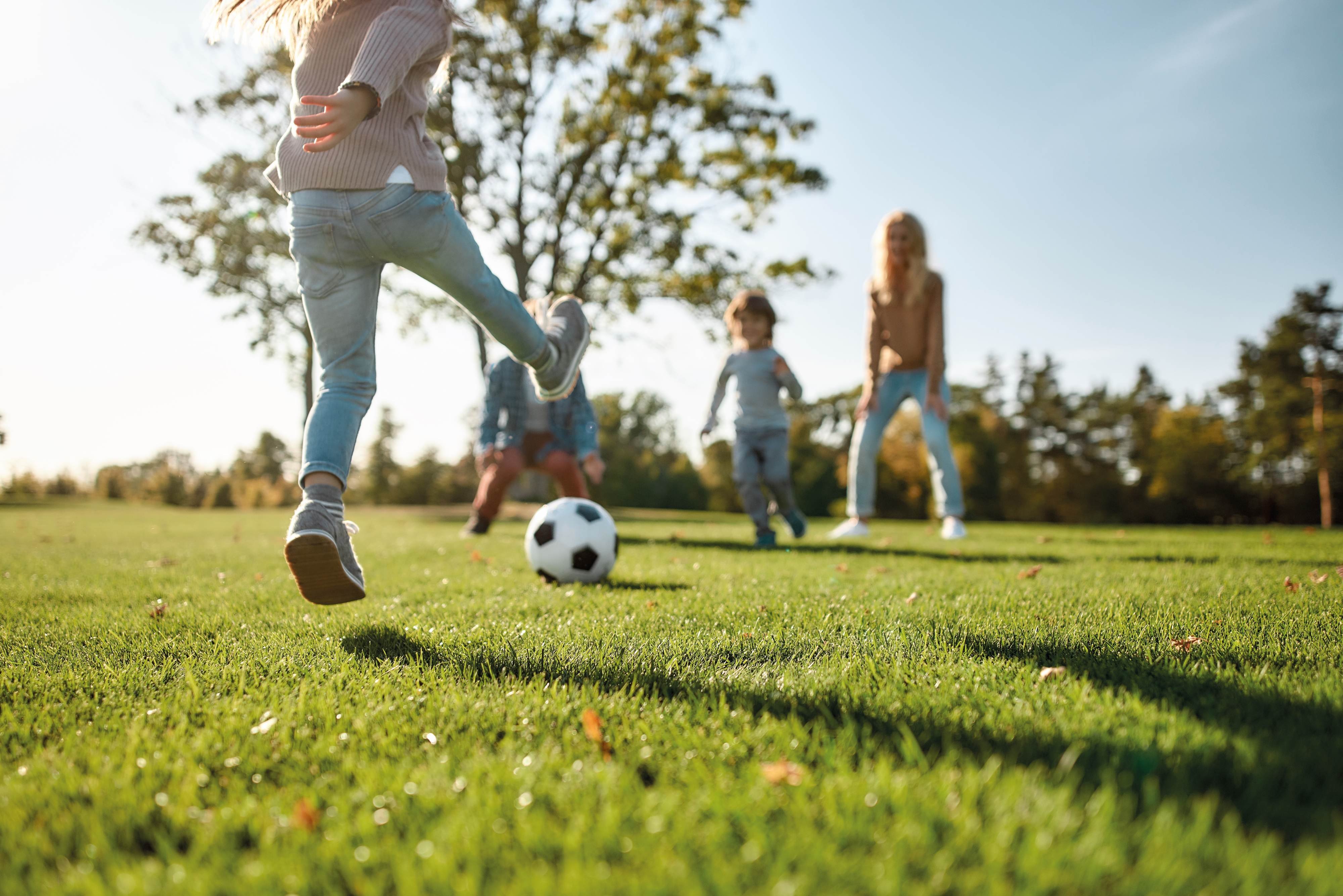 stock-recreation-family-woodlands