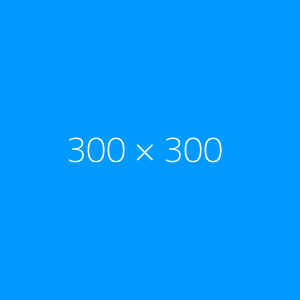 300by300