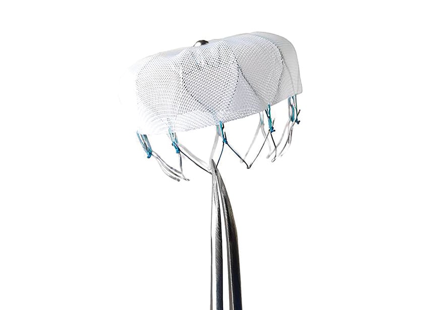 An image showing what the Watchman Device looks like 