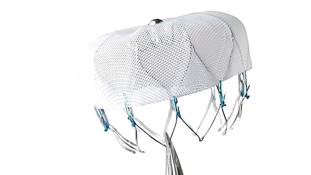 A example of what the WATCHman device looks like