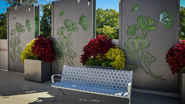 An outside view of PACE where participants can go sit outside on a bench with the Ginkgo leaves behind them