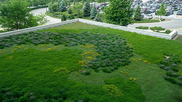 The green roof at Reid Health's main campus