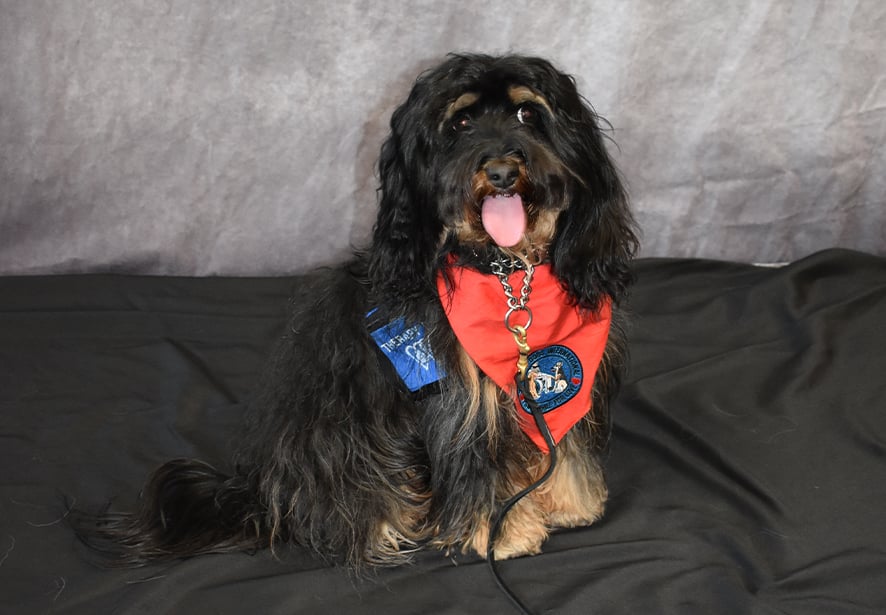 Reid Health Therapy Dog, Charile