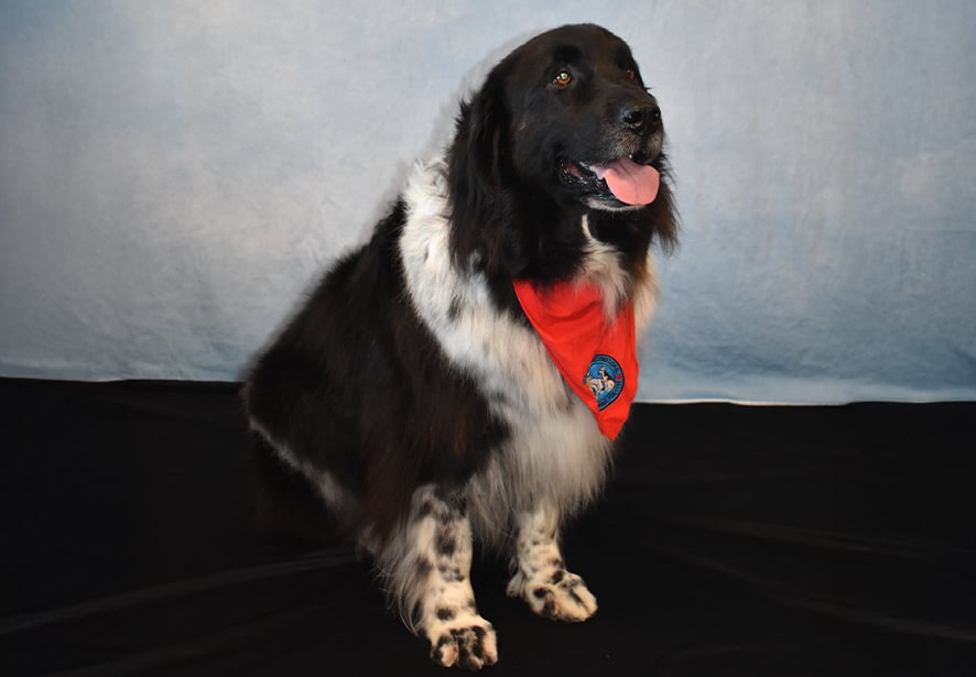 Reid Health Therapy Dog, Darla