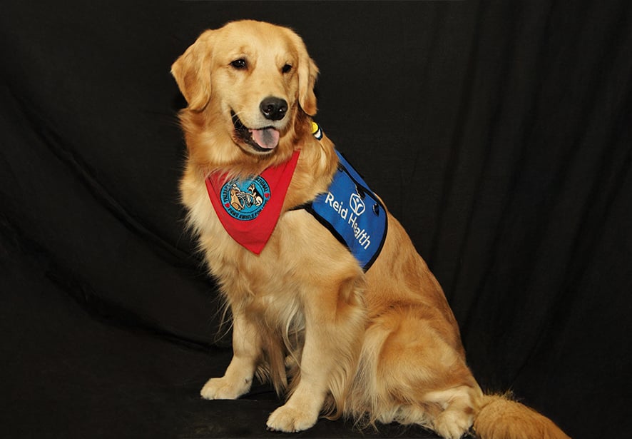 Reid Health Therapy Dog, Hanna
