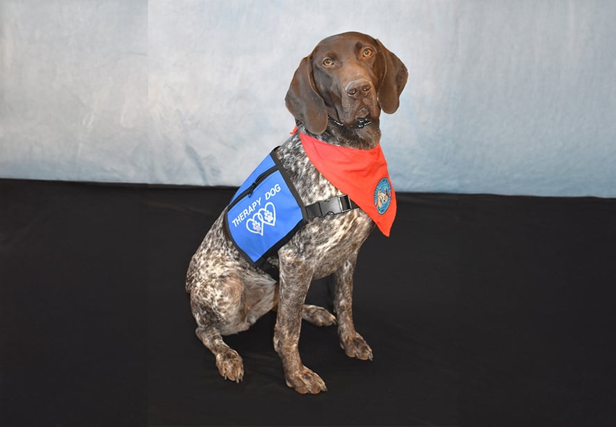 Reid Health Therapy Dog, Kimber