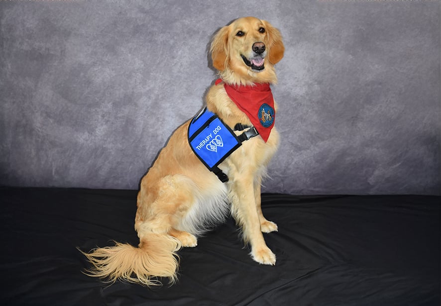 Reid Health Therapy Dog, Nala