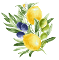 a branch of leaves with lemons and olives