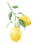 branch with two lemons hanging down