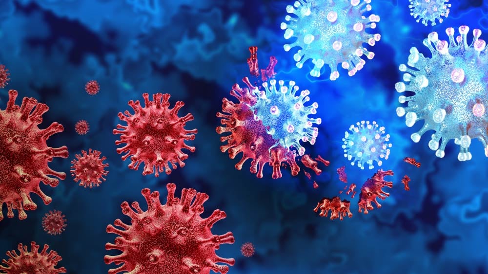 A graphic illustration of COVID-19 particles in blue and red