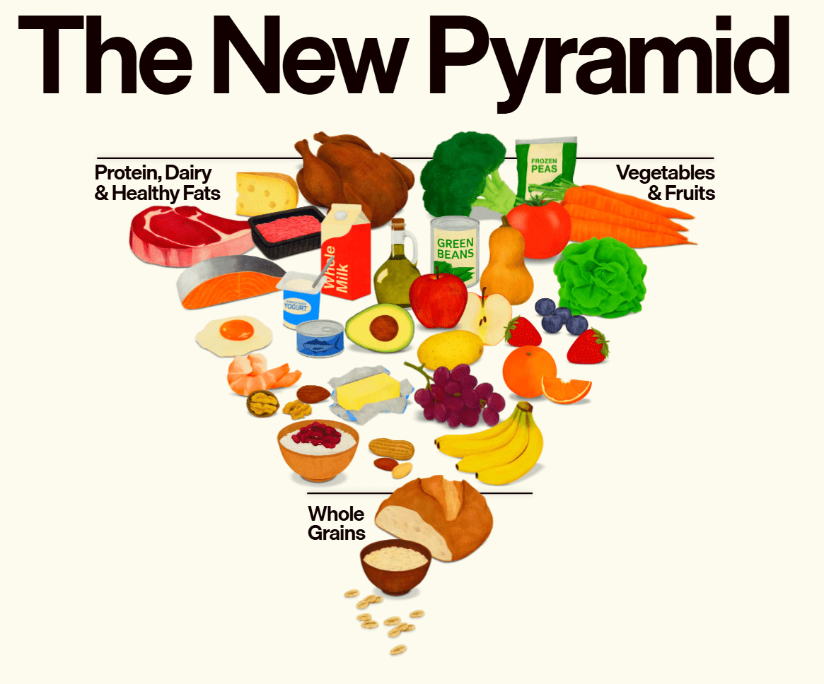 The New Pyramid showing USDA guidelines for dietary guidance