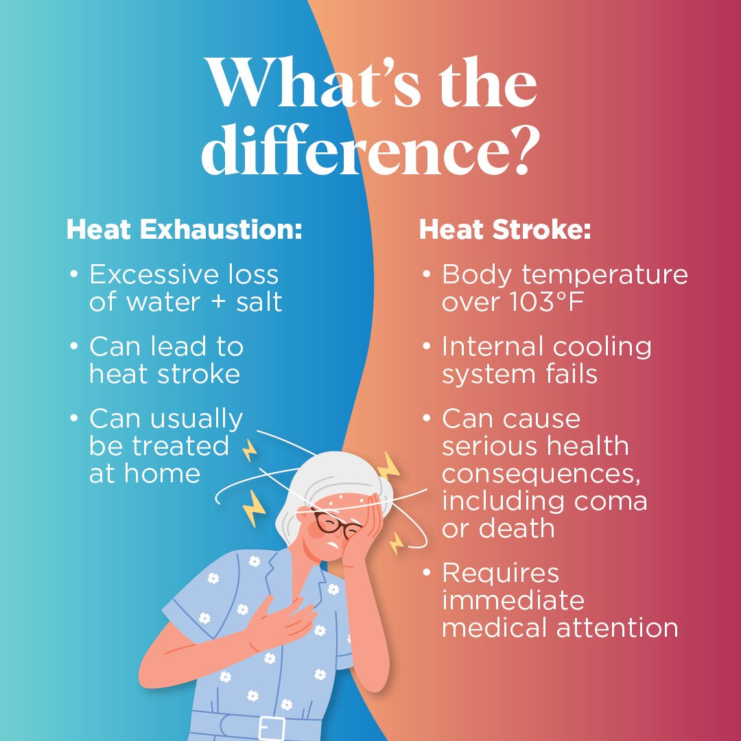 Heat Exhaustion or Heat Stroke infographic
