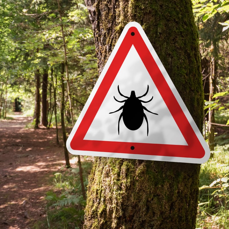 A sign warning about ticks on a nature trail