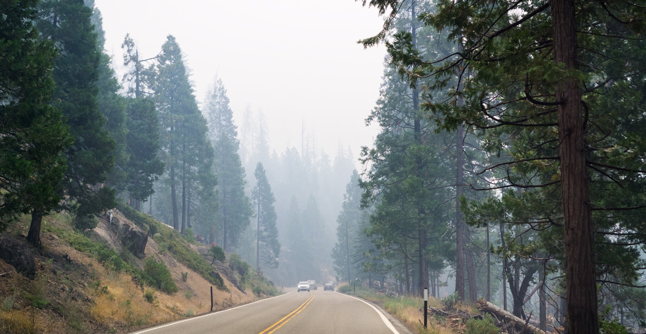A highway through a forest wreathed in smoke from a wildfire