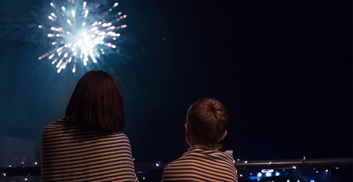 A mother and child watching fireworks in the night sky