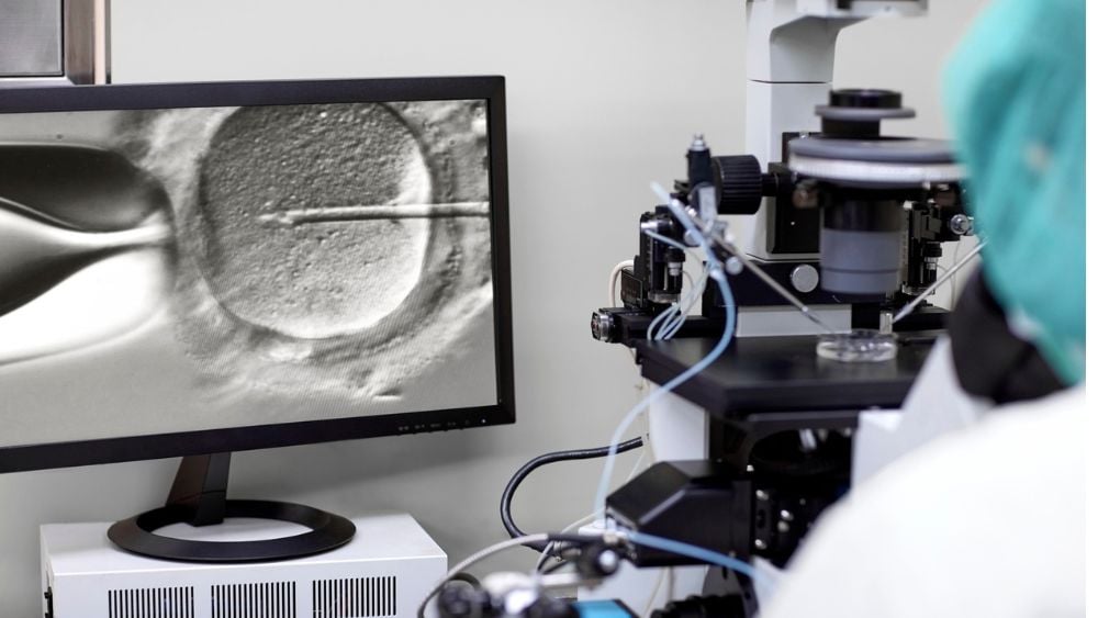 Egg embryo harvesting