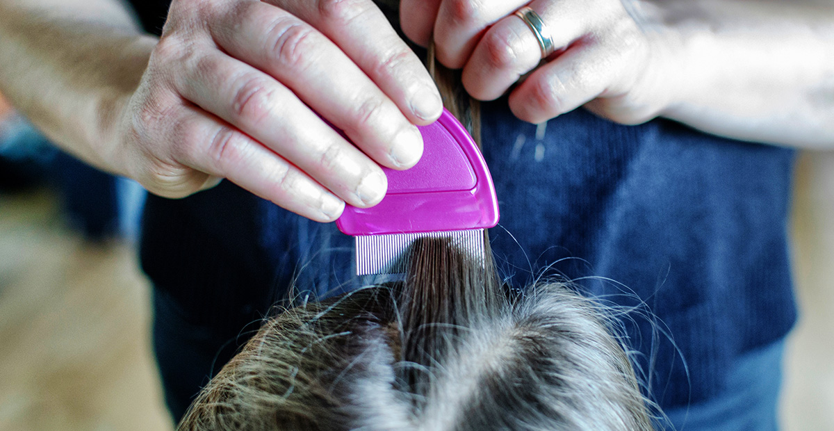 A mother combing a child's head and checking for head lice