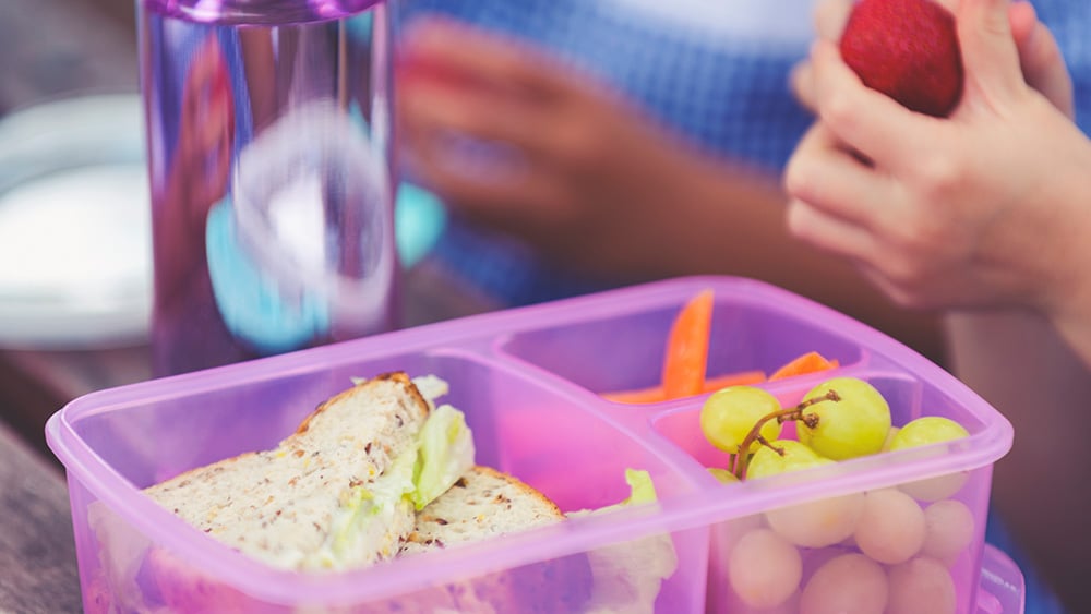 Schoolgirls eating a healthy lunch. They have a lunch box with vegetables and fruit and a lettuce and chicken sandwich. They are wearing school uniforms.