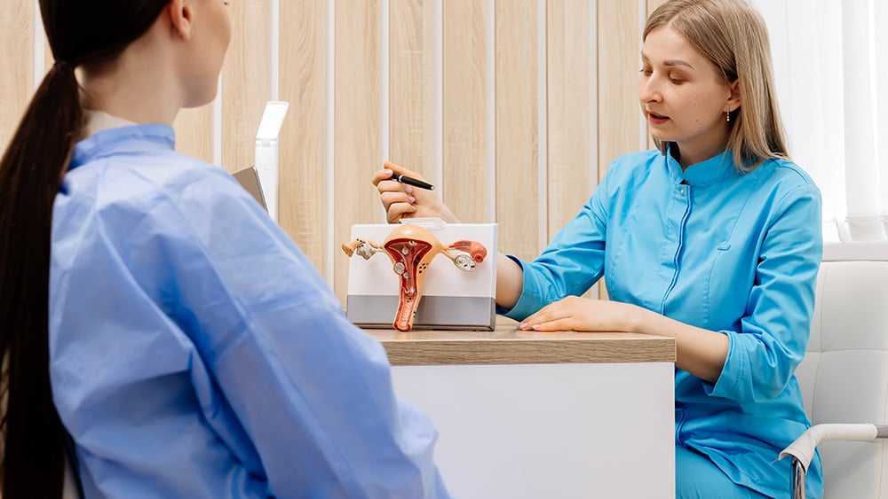 Healthy anatomy of the uterus and ovaries on the hands of a doctor