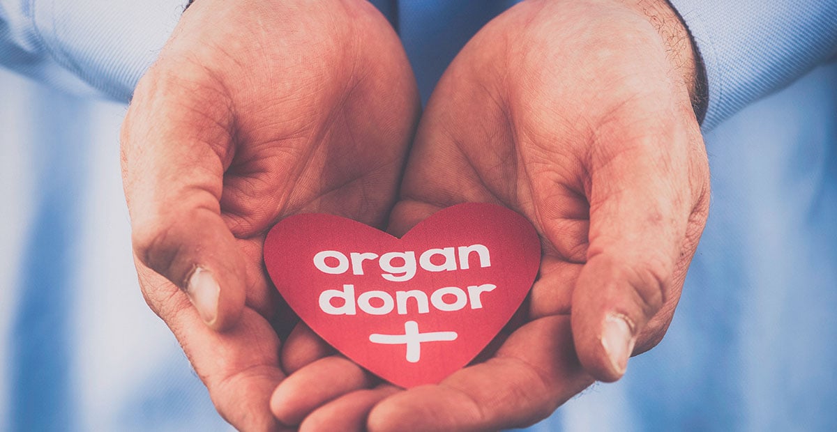Two cupped hands holding a red paper heart with organ donor written on it