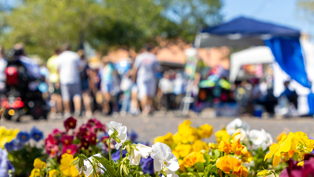 Flowers at spring festival