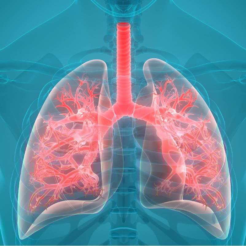 Image of lungs being tested for their function