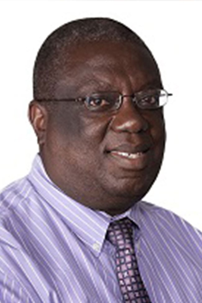 Photo of Berthollet Bavibidila