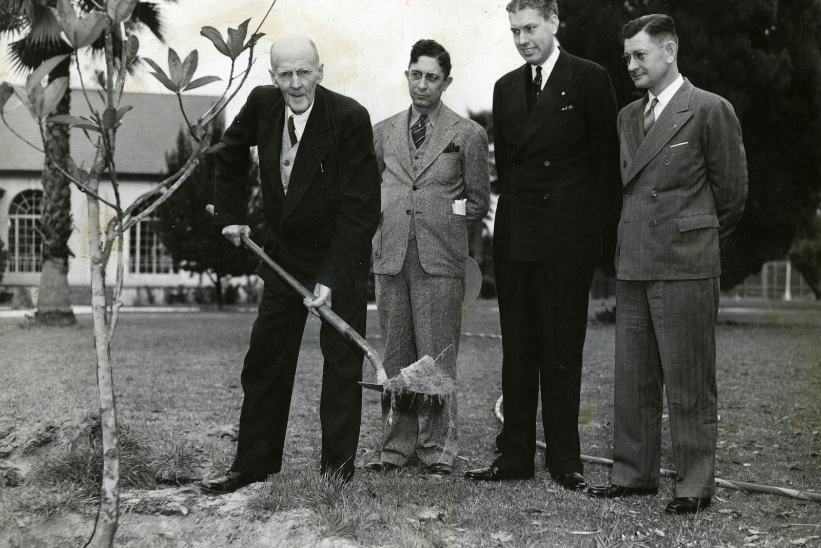 Paul Harris plants a friendship tree in Lakeland, Florida, USA, in 1942.